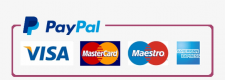 395-3955693_paypal-payment-method-logo